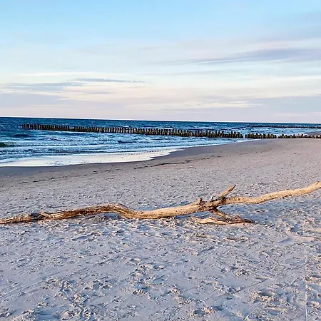 Shellter Premium Przy Wydmie *