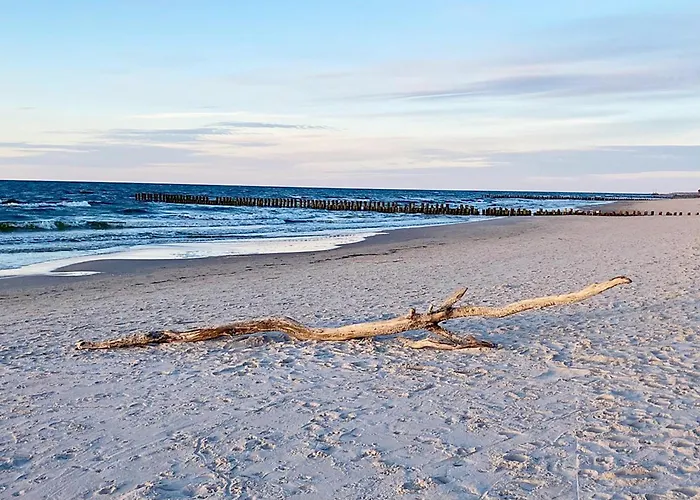 Shellter Premium Przy Wydmie *