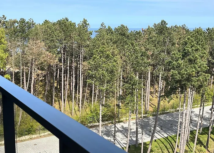 Shellter Premium Przy Wydmie